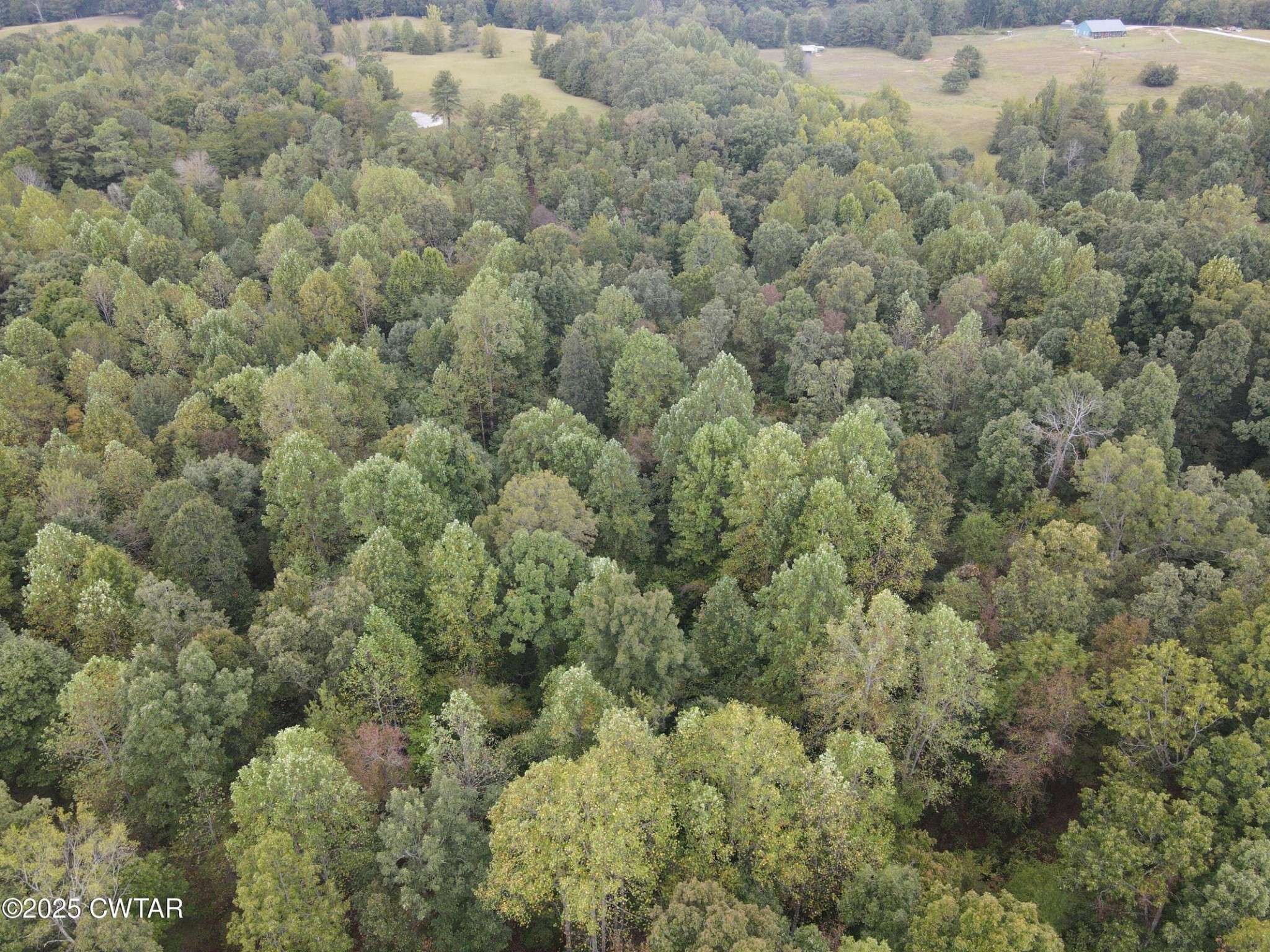 Reagan, TN 38368,0 McEarl Lane