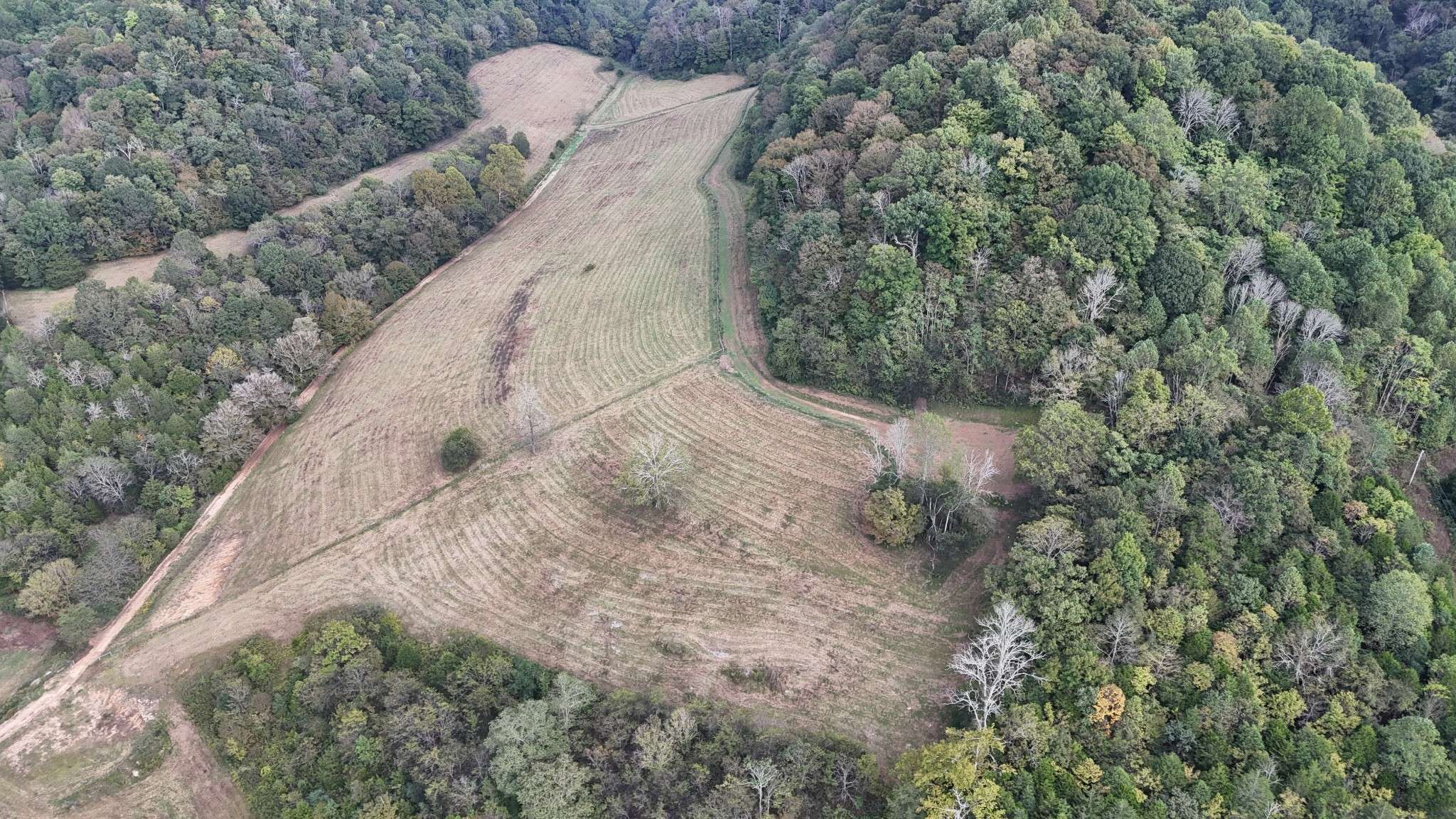 Pleasant Shade, TN 37145,46 Carver Hollow Lane