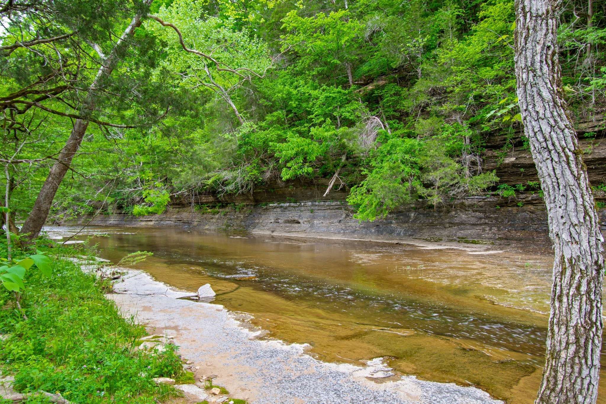 Fairview, TN 37062,7749 Crow Cut Rd