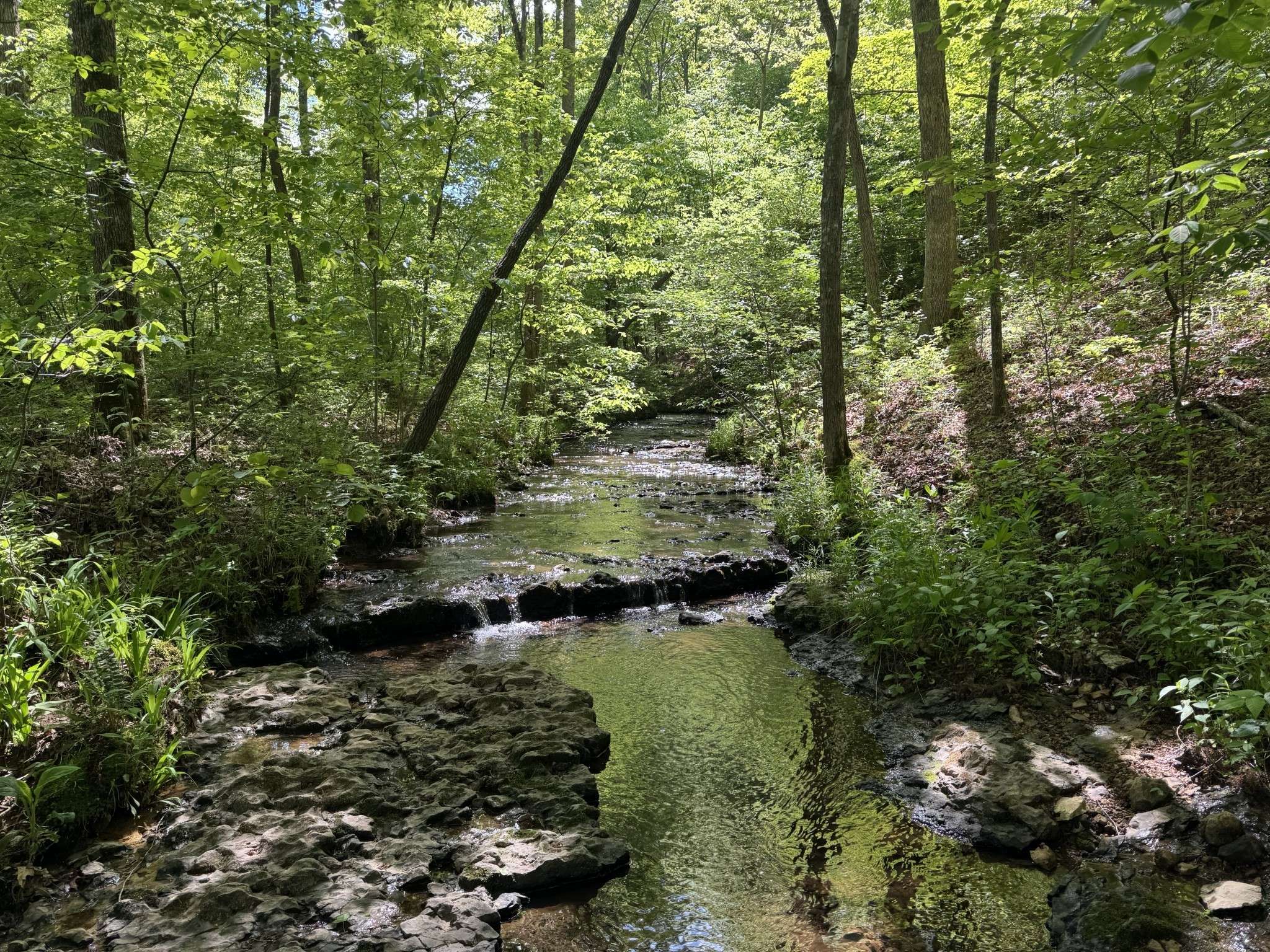 Hohenwald, TN 38462,283 Dyestone Springs Road