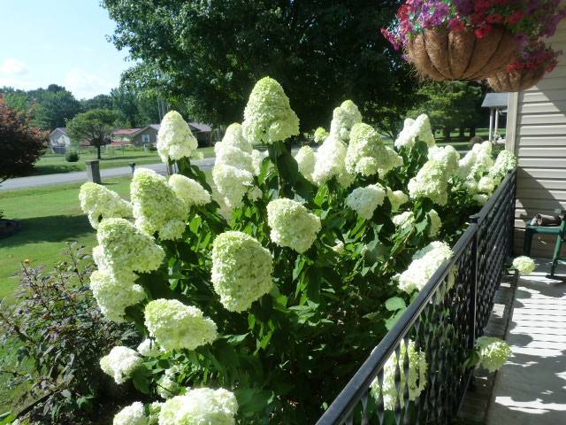 Manchester, TN 37355,315 New Union Hts