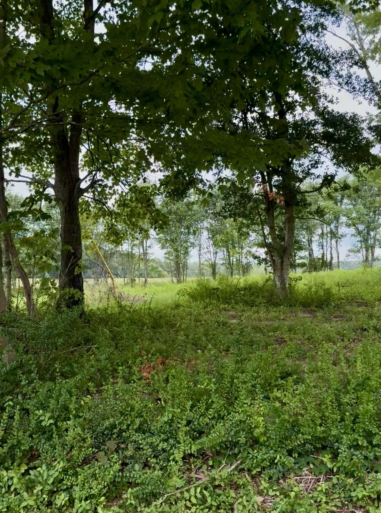 Rock Island, TN 38581,255 Shoals Rd