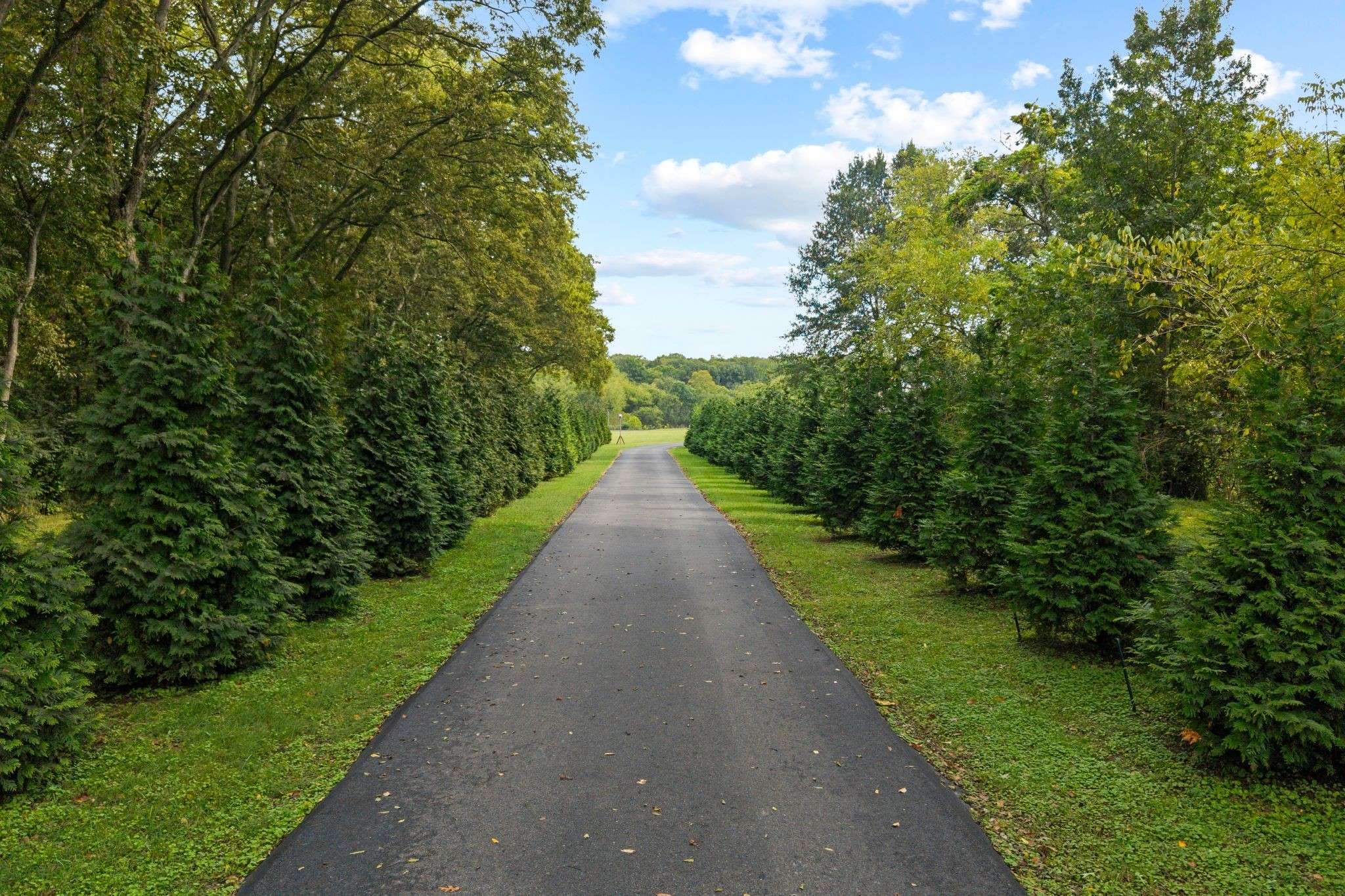 Mount Pleasant, TN 38474,808 N Main St