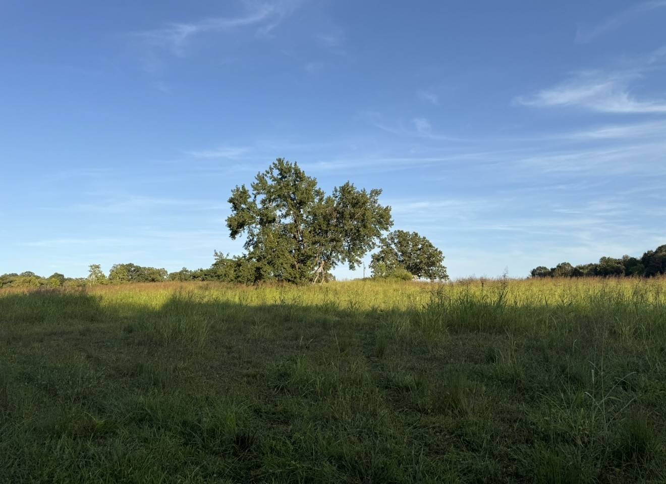 Mc Ewen, TN 37101,0 Dady Road