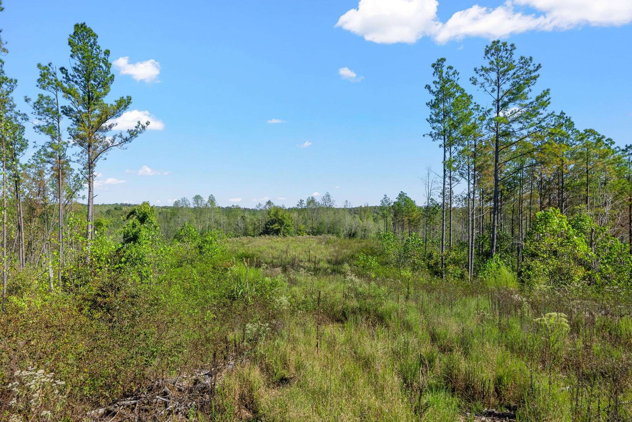 Dover, TN 37058,0 Sagebrush Way