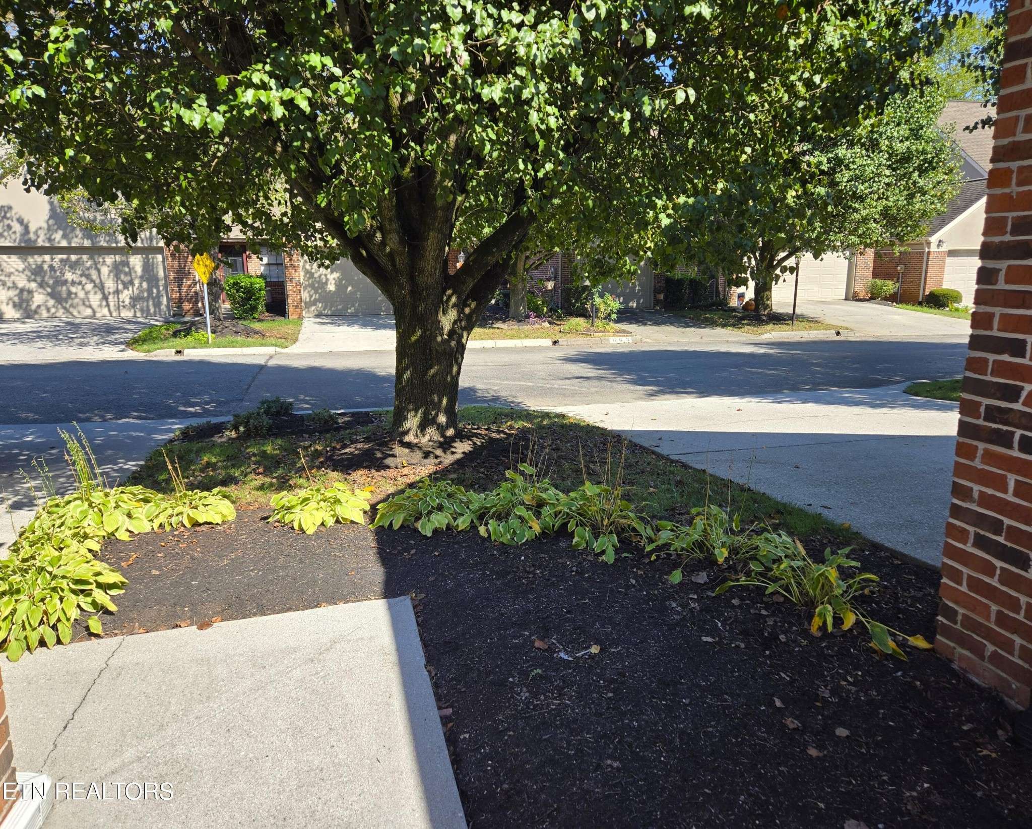 Knoxville, TN 37934,658 Farragut Commons Drive