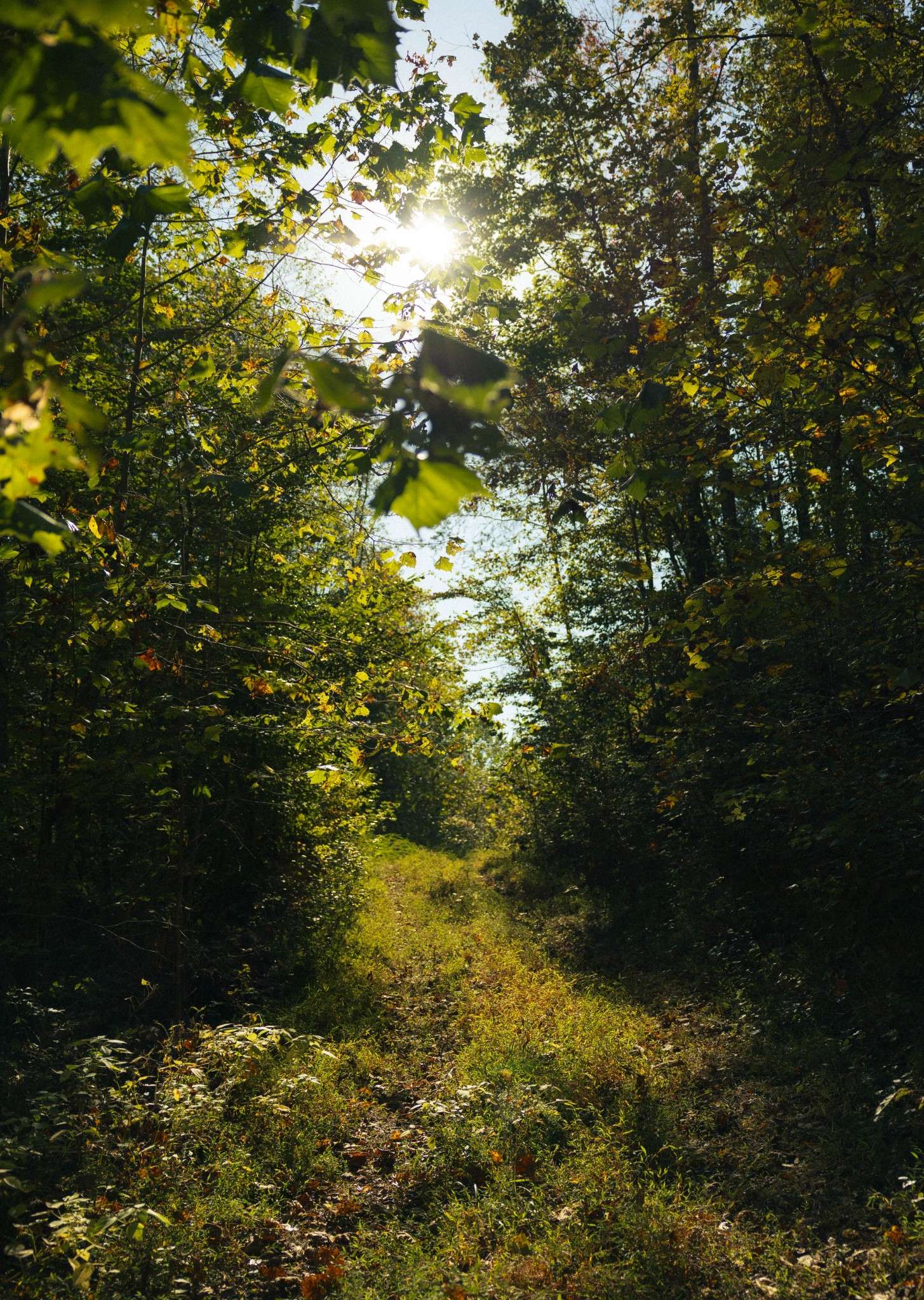 Waverly, TN 37185,5845 Turkey Creek Rd