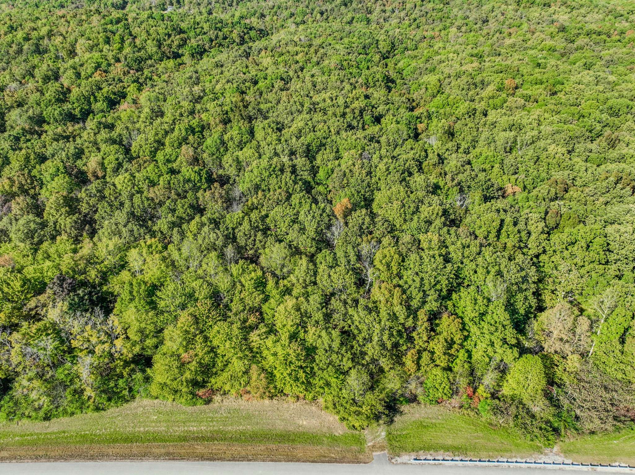 Waynesboro, TN 38485,0 Lawrenceburg Hwy