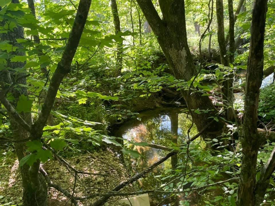 Pelham, TN 37366,0 White Ridge Rd