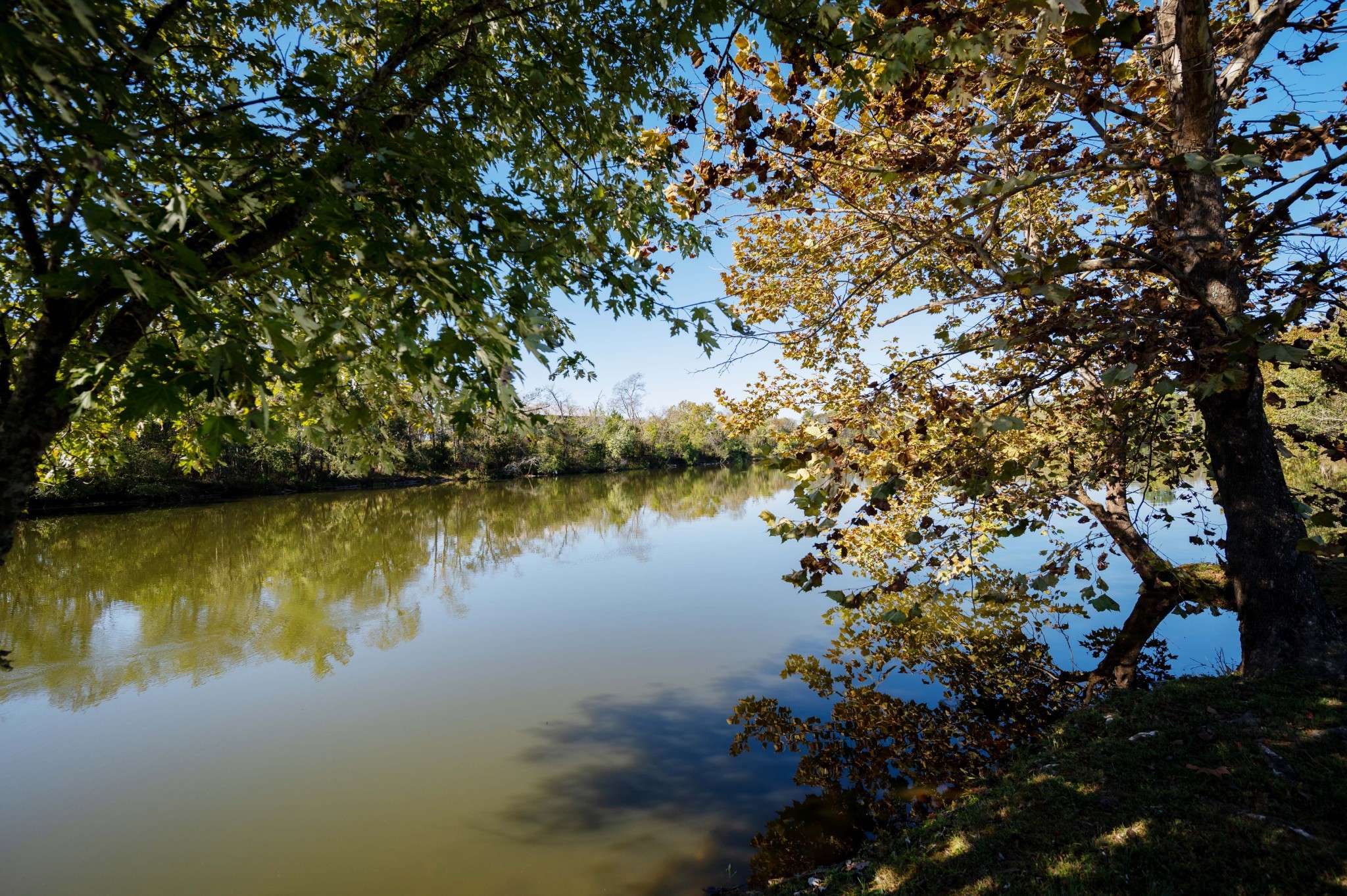 Gallatin, TN 37066,1027 Shimmering Way