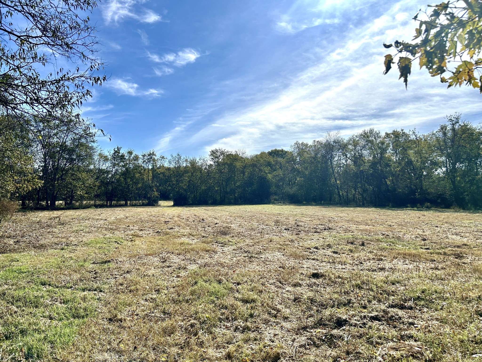 Pulaski, TN 38478,11 West  HWY 11