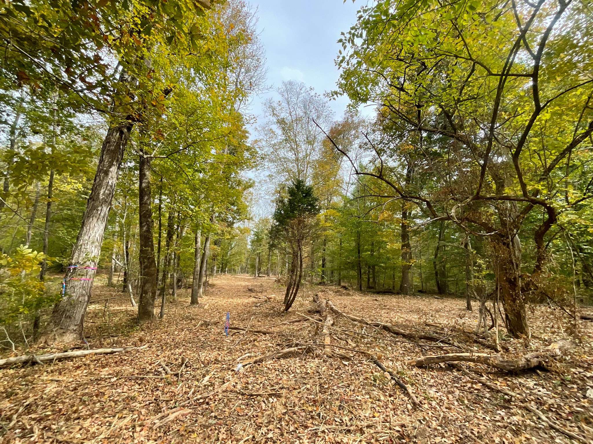 Cumberland City, TN 37050,5 Highway 149