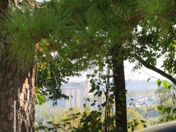 Nashville, TN 37218,2306 Alpine Ave