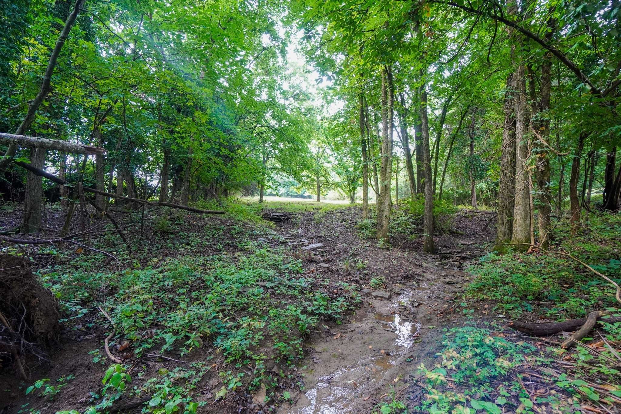 Hendersonville, TN 37075,1094B Center Point Rd