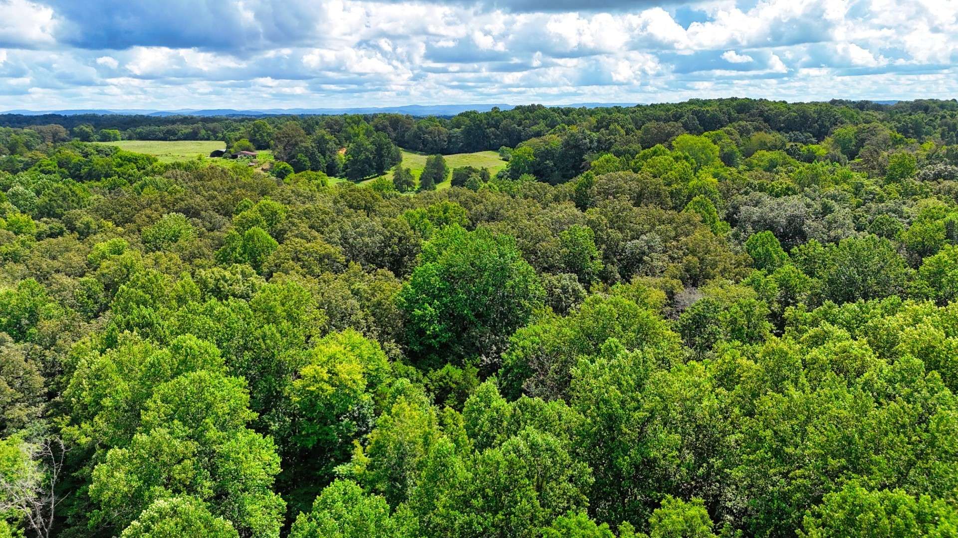 Sparta, TN 38583,0 Wilkerson Rd