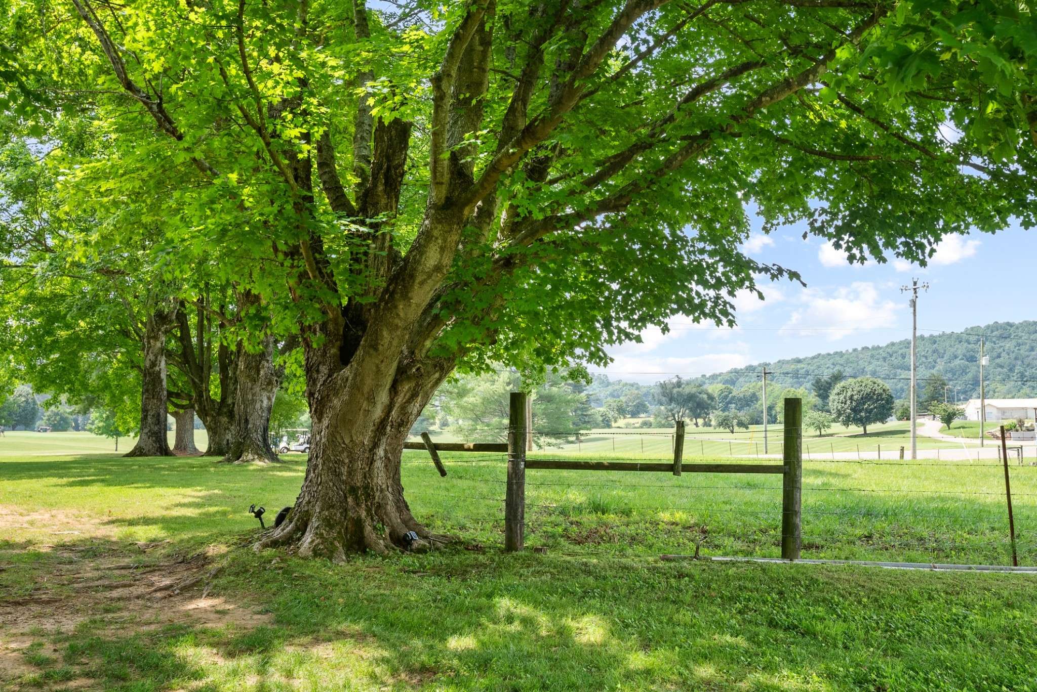 Sparta, TN 38583,1364 Country Club Rd