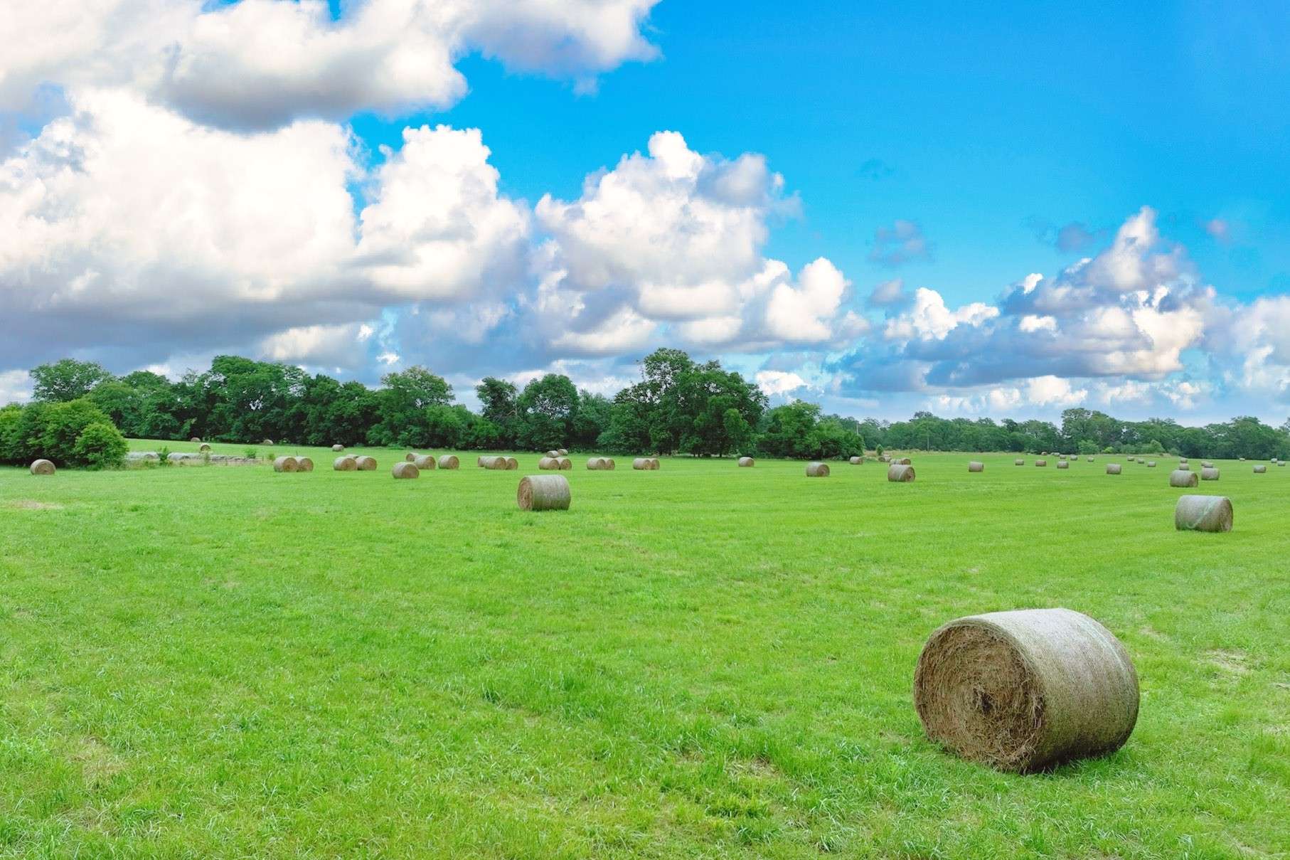 Gallatin, TN 37066,1 Deshea Creek Rd