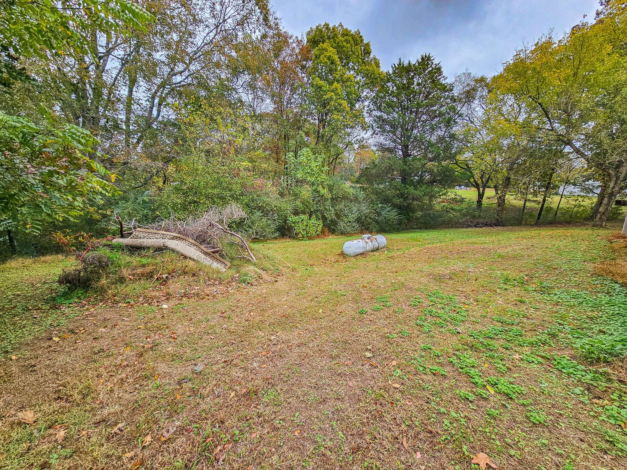 Minor Hill, TN 38473,495 Salem Rd