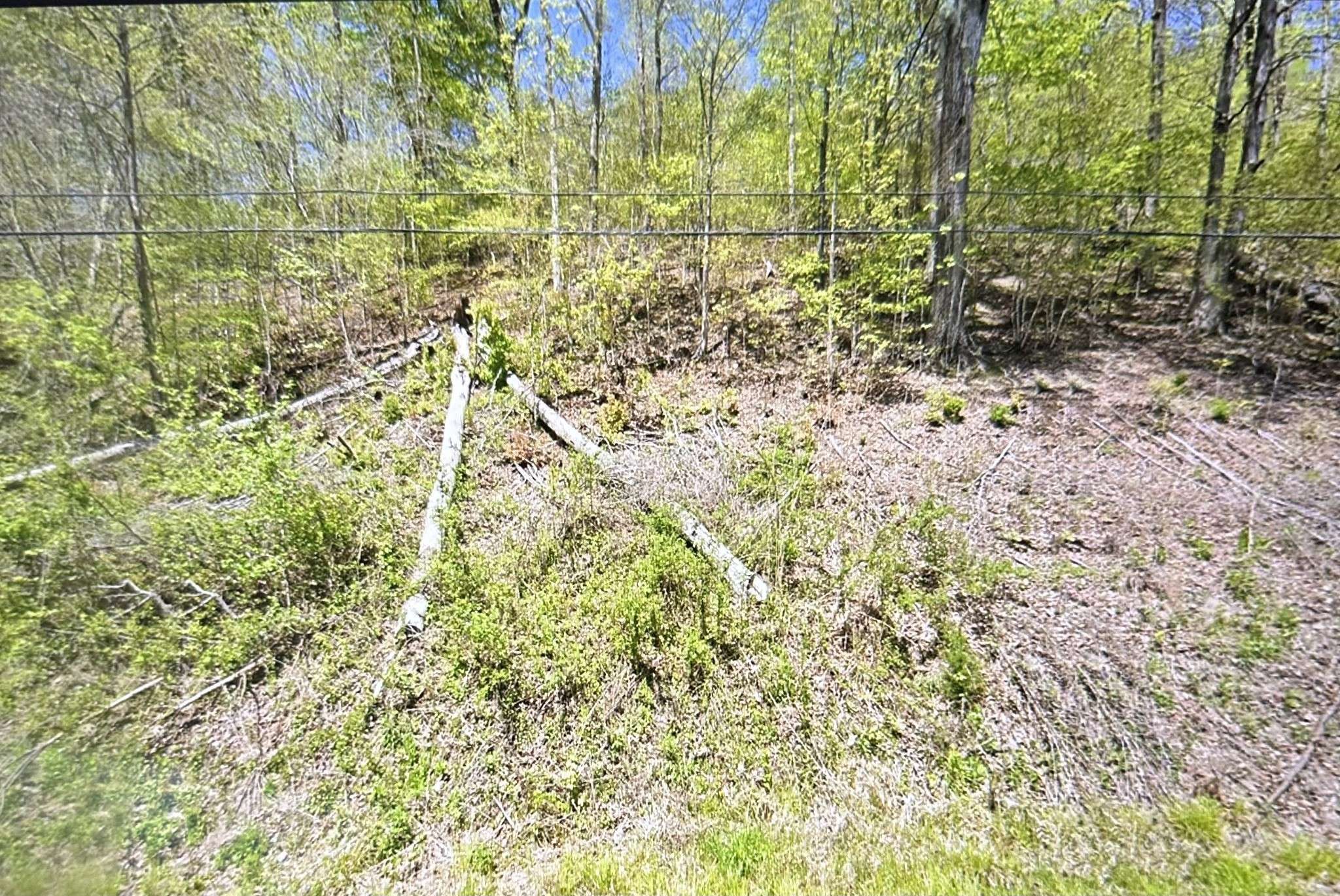 Lawrenceburg, TN 38464,2024 Powdermill Hill Rd