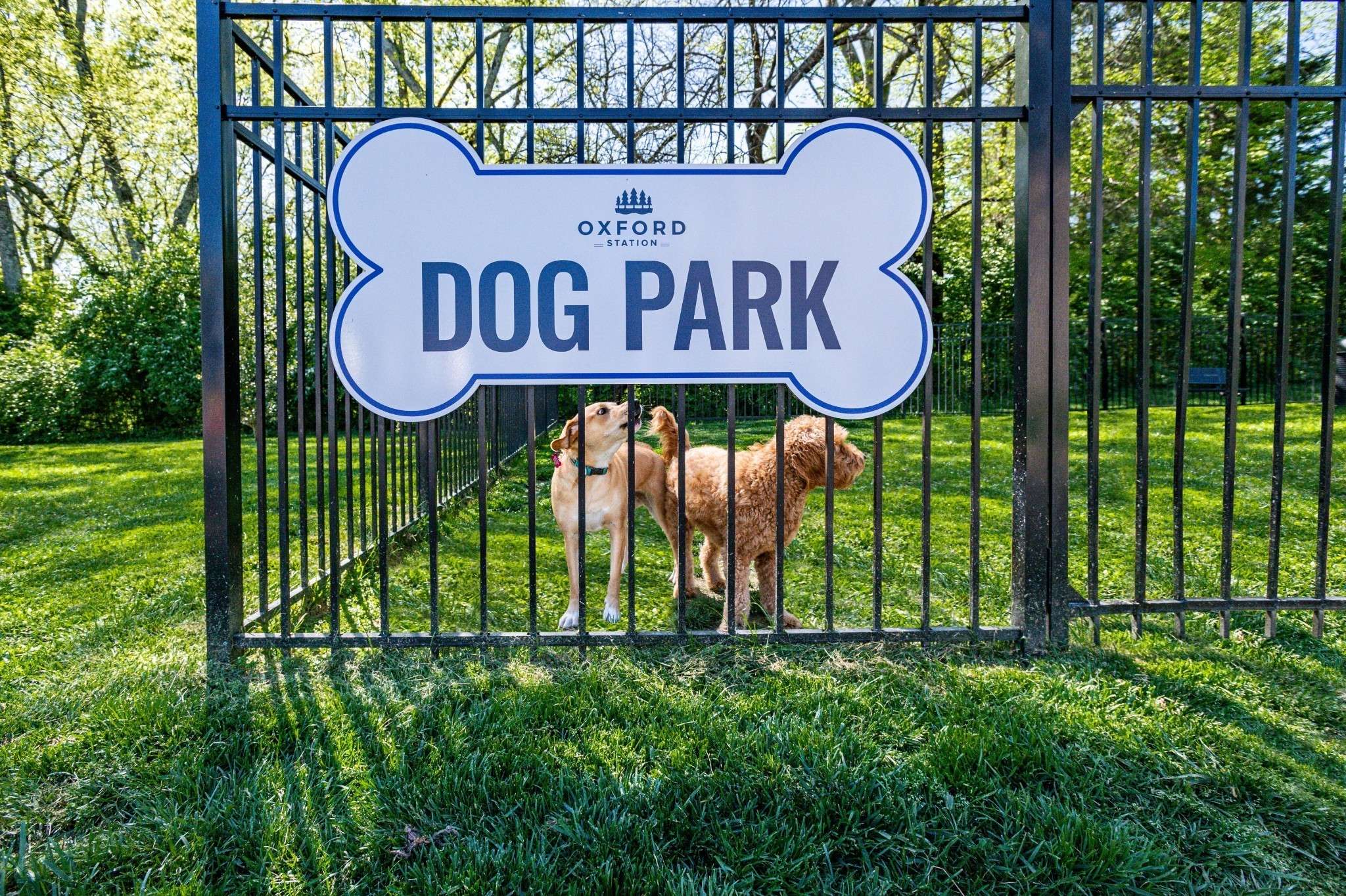 Gallatin, TN 37066,454 Bishop Blvd