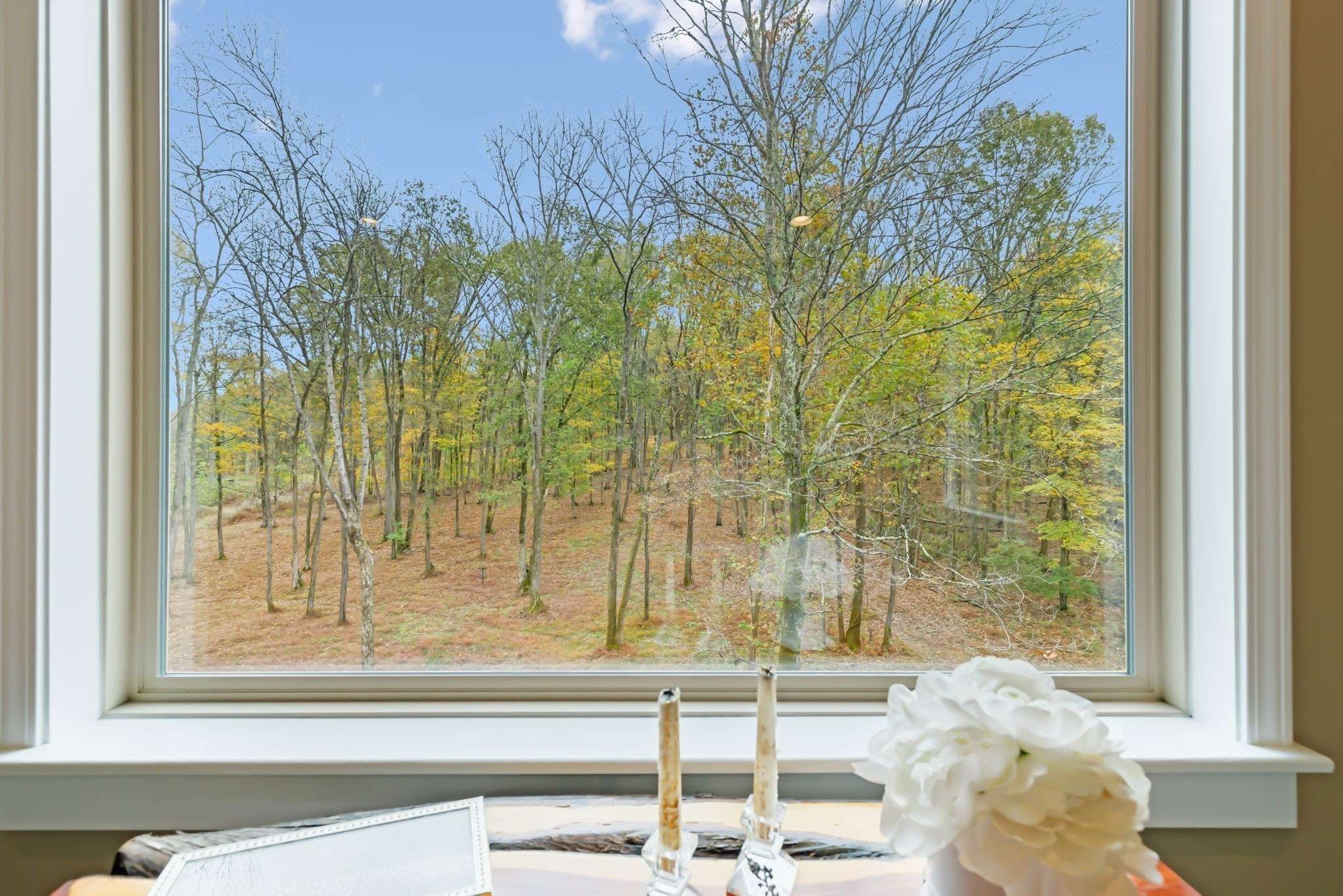 Lebanon, TN 37087,146 Angels Cove Ln