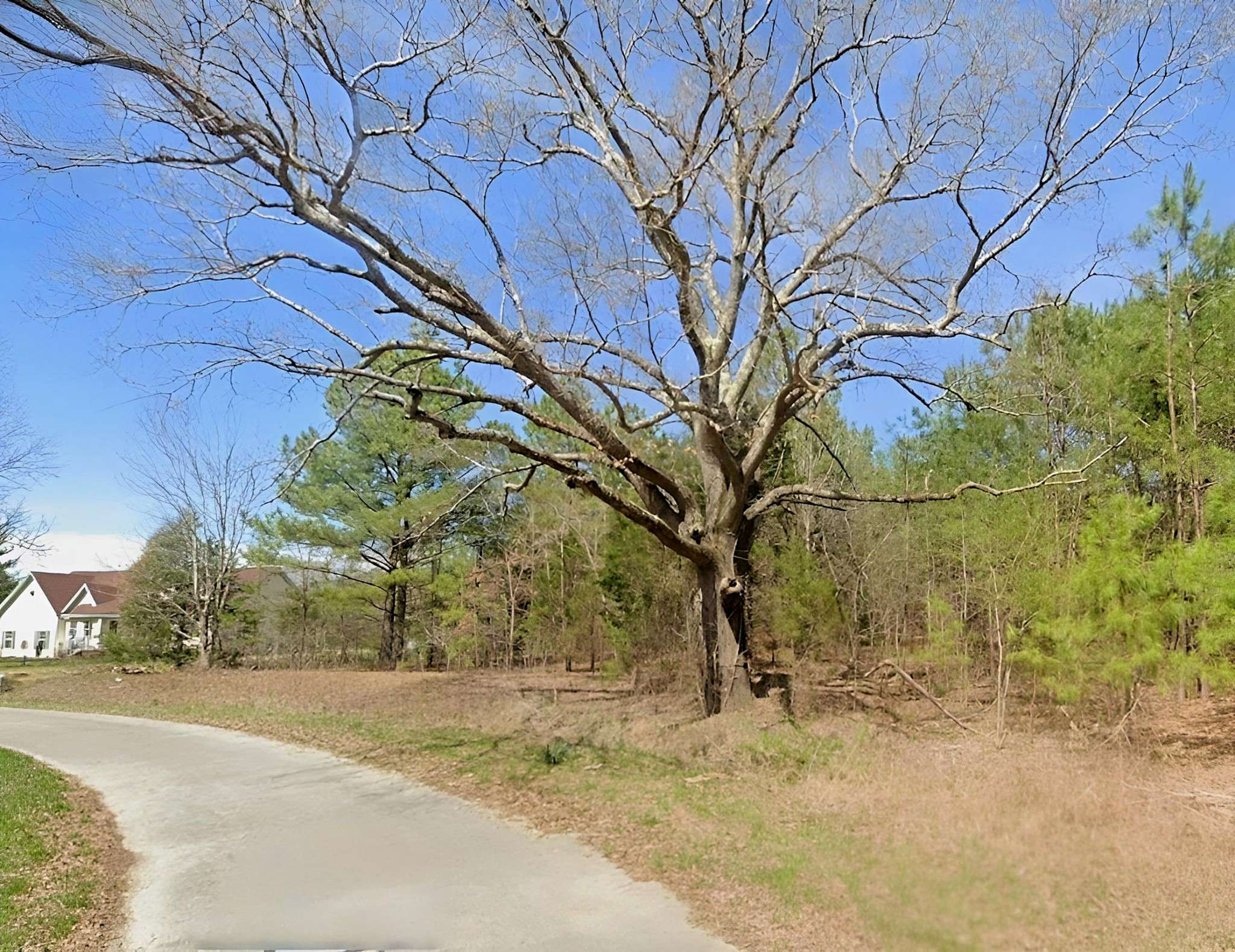 Bruceton, TN 38317,0 Batey Ln