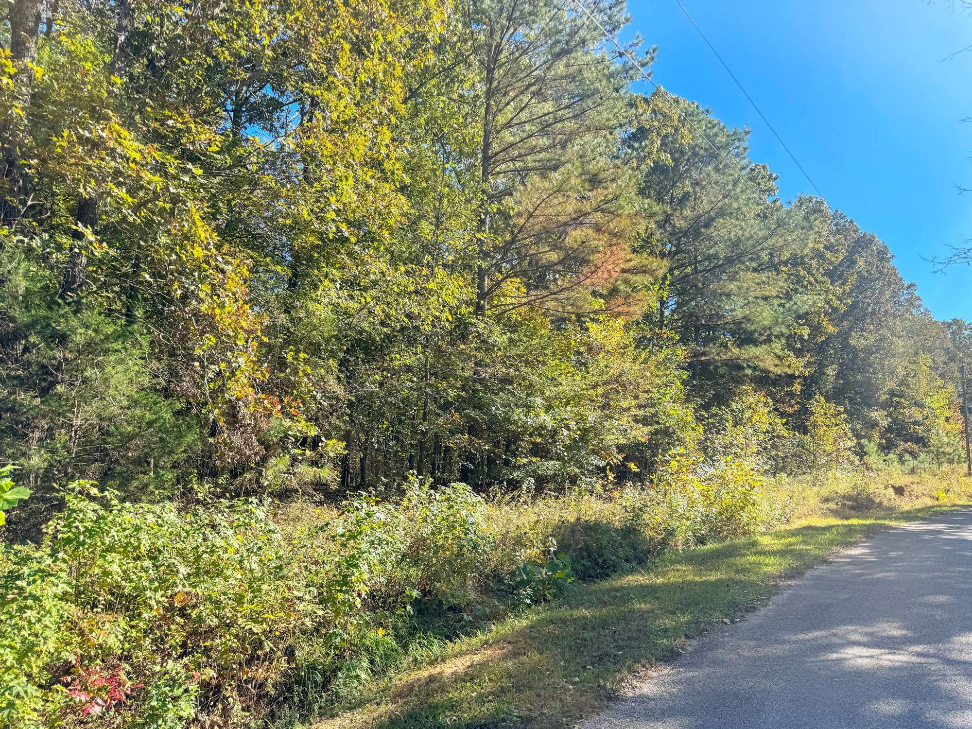 Bruceton, TN 38317,0 Batey Ln