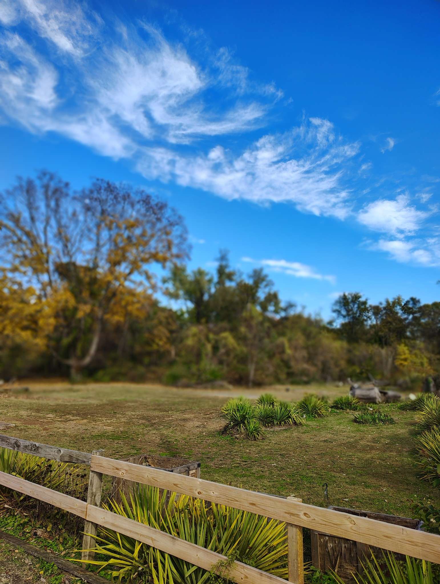 Hopkinsville, KY 42240,848 21st St #E