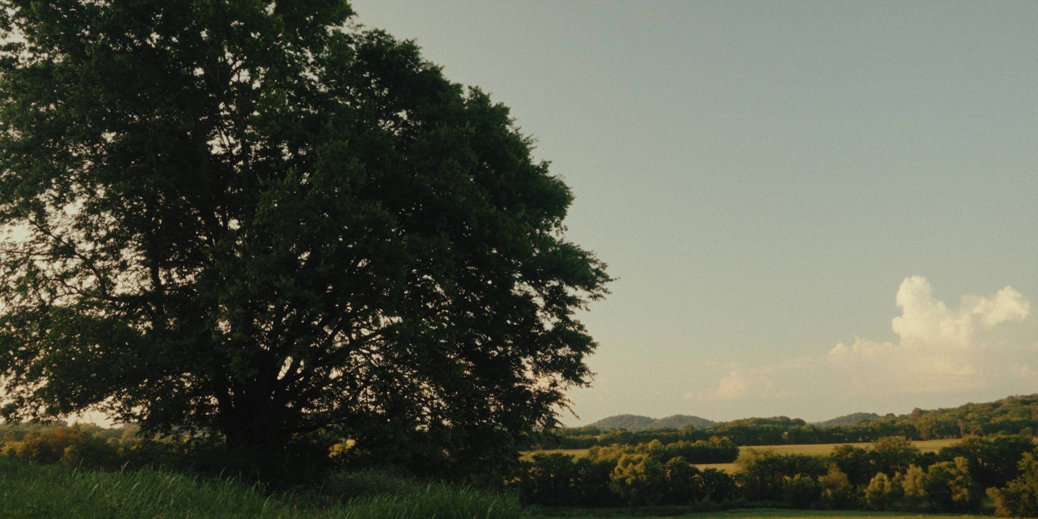 Thompsons Station, TN 37179,1914 Thompsons Station Rd W