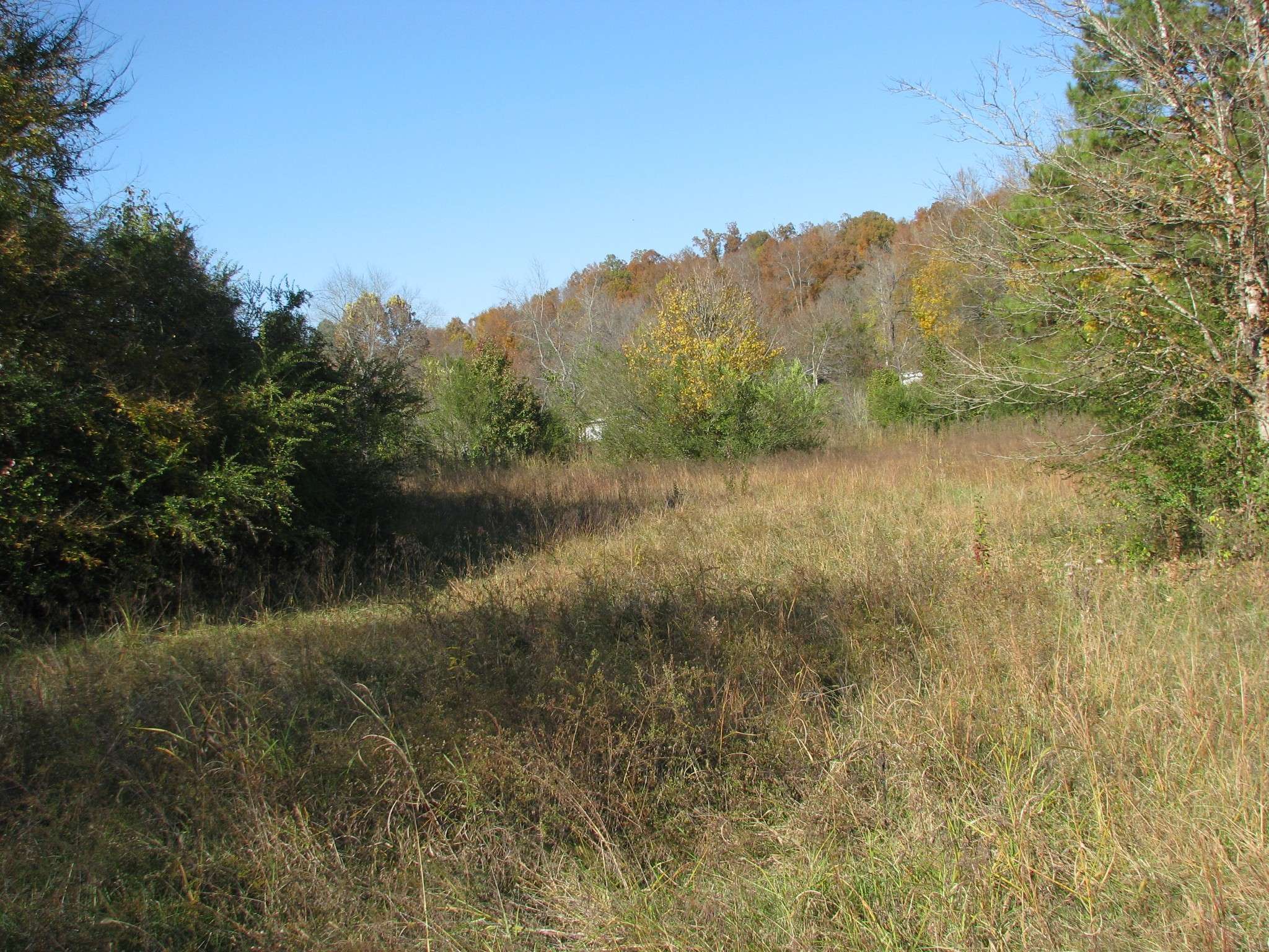 Waverly, TN 37185,199 Spann Loop