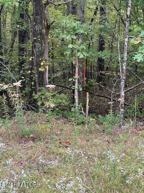 Monterey, TN 38574,2451 Arrow Trail