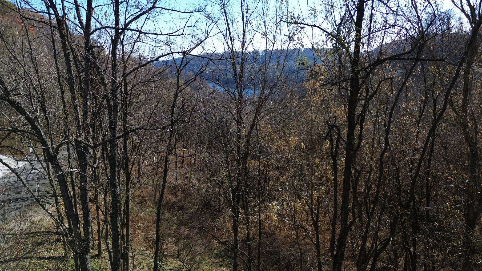 Smithville, TN 37166,85 Blackberry Ridge Way