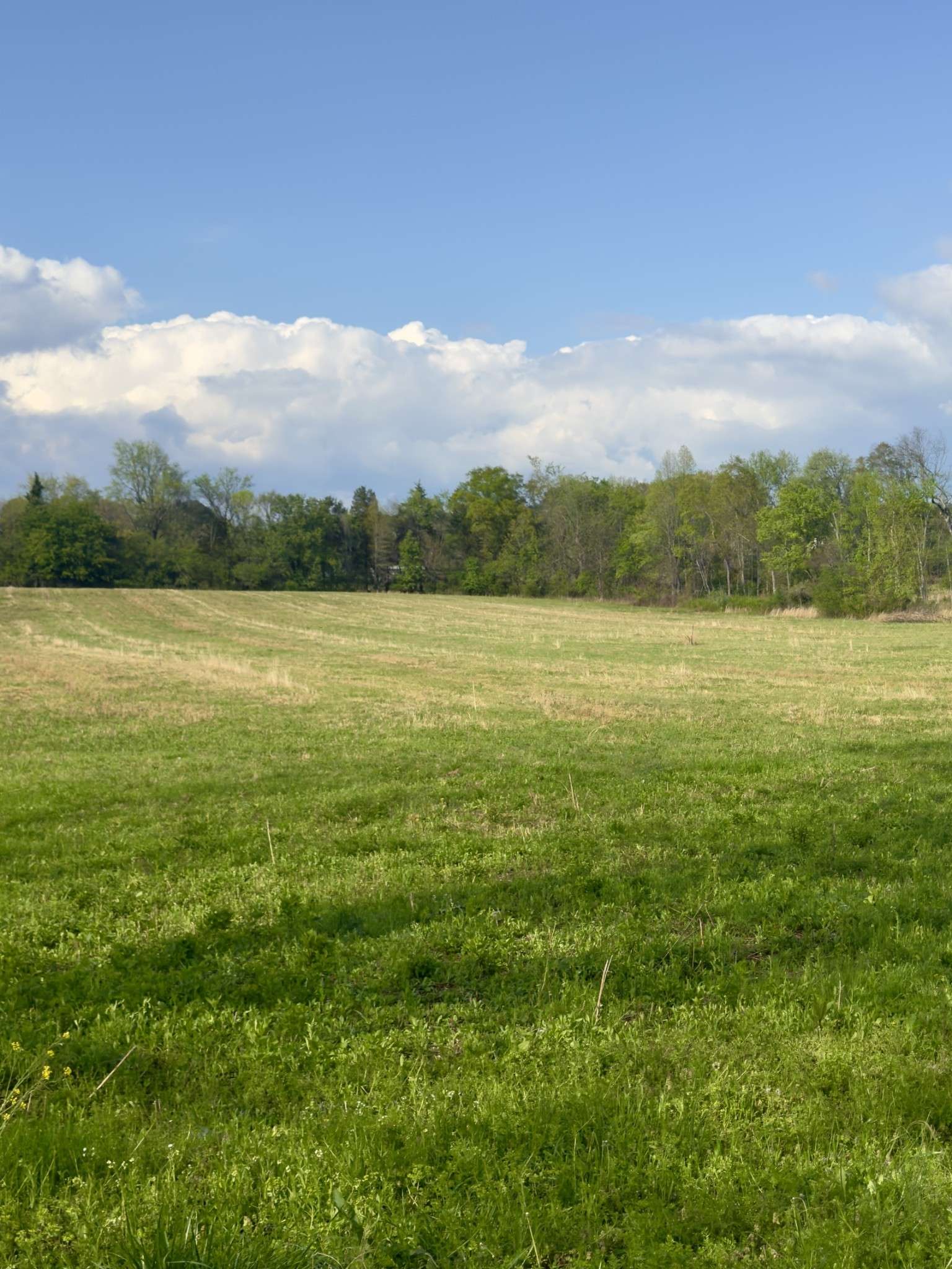 Estill Springs, TN 37330,0 AEDC Lakeview Rd