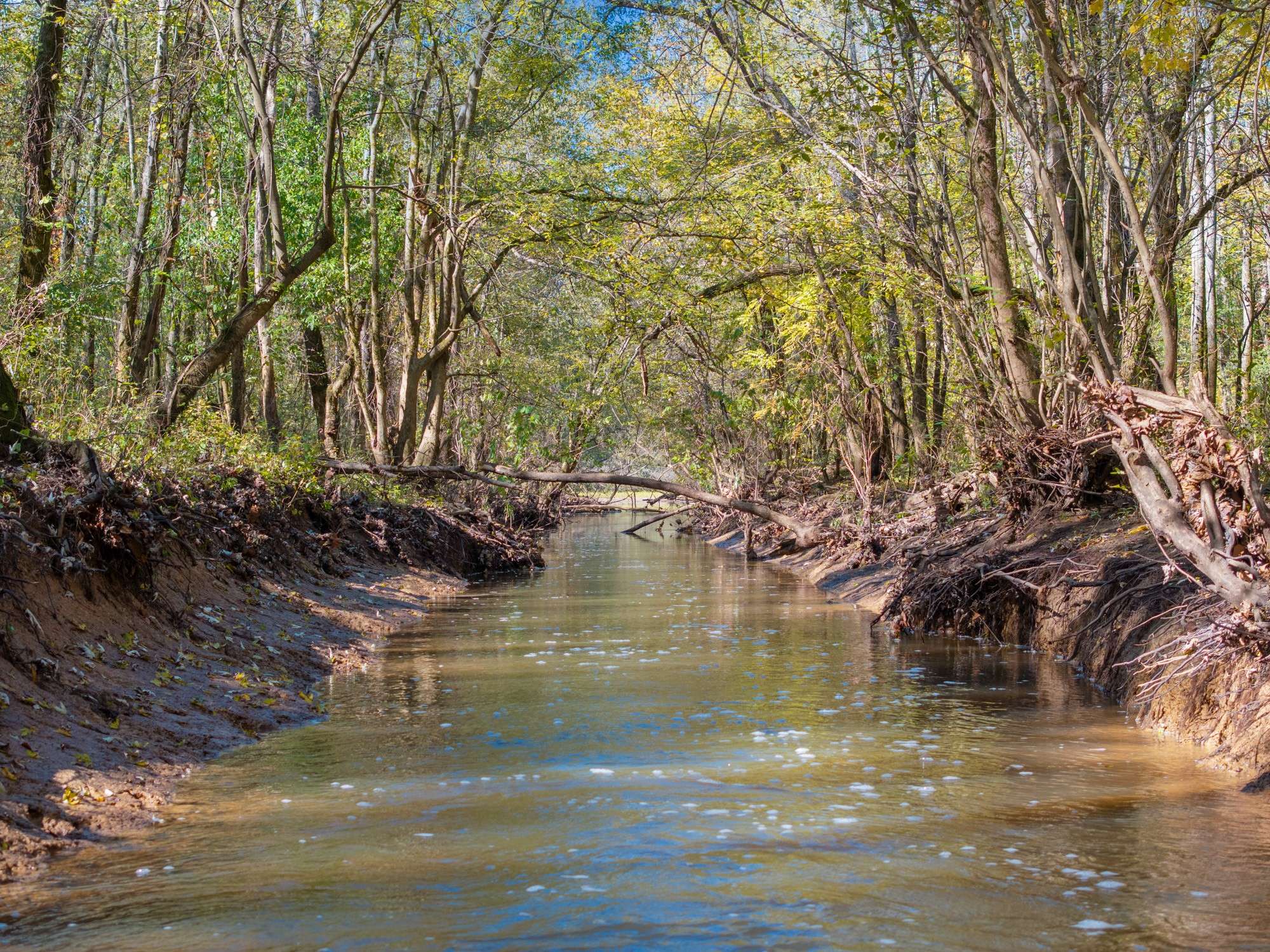 Decaturville, TN 38329,0 Doctor Fisher LN