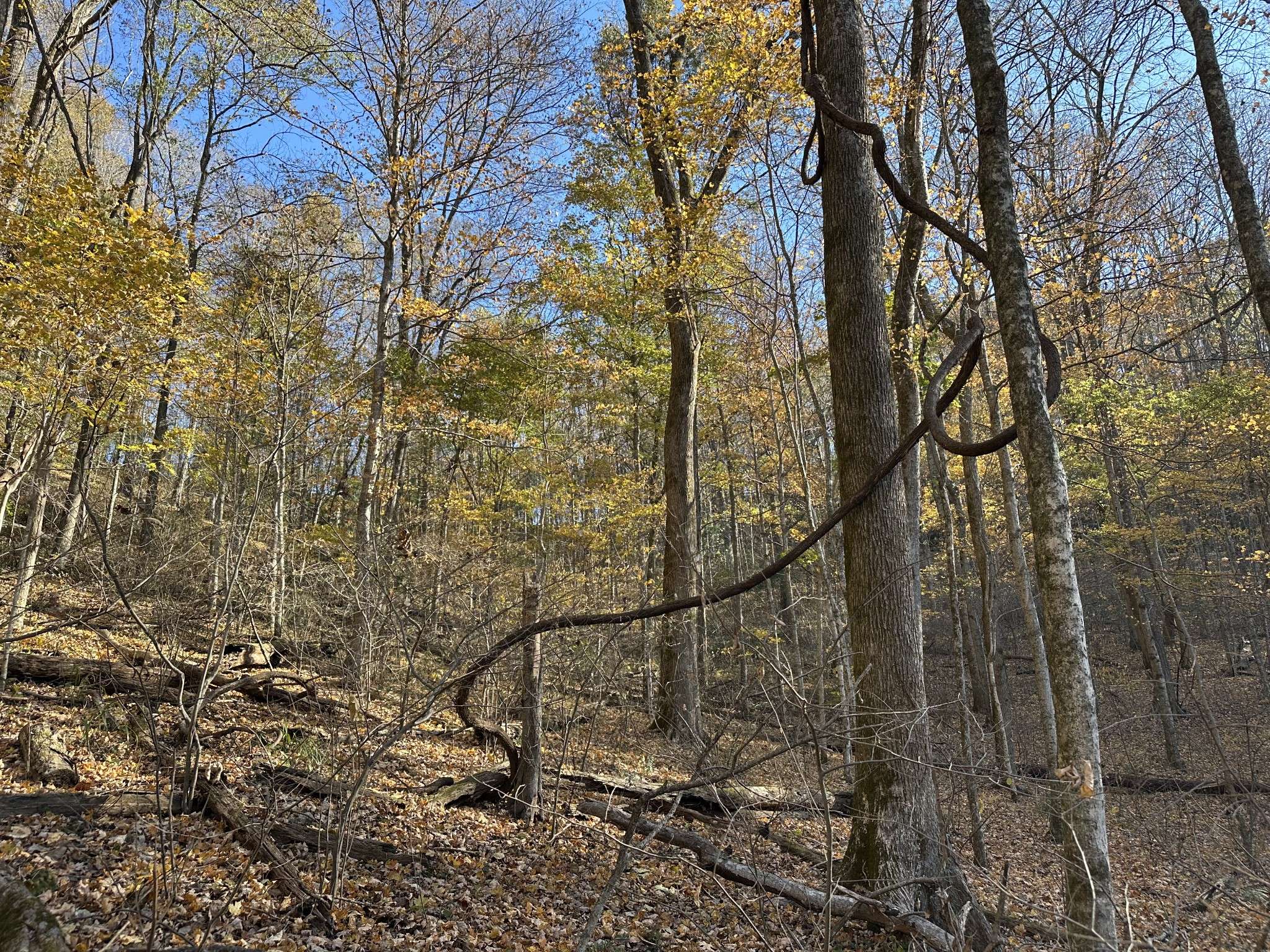 Smithville, TN 37166,0 Lake View Drive