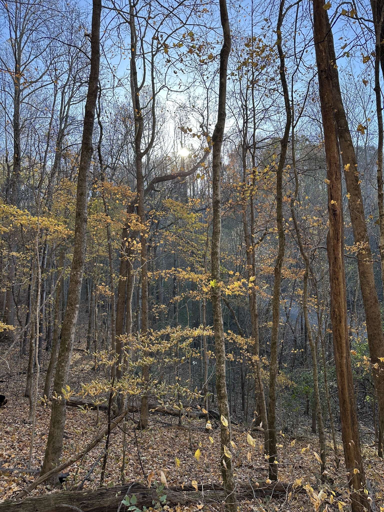 Smithville, TN 37166,0 Lake View Drive