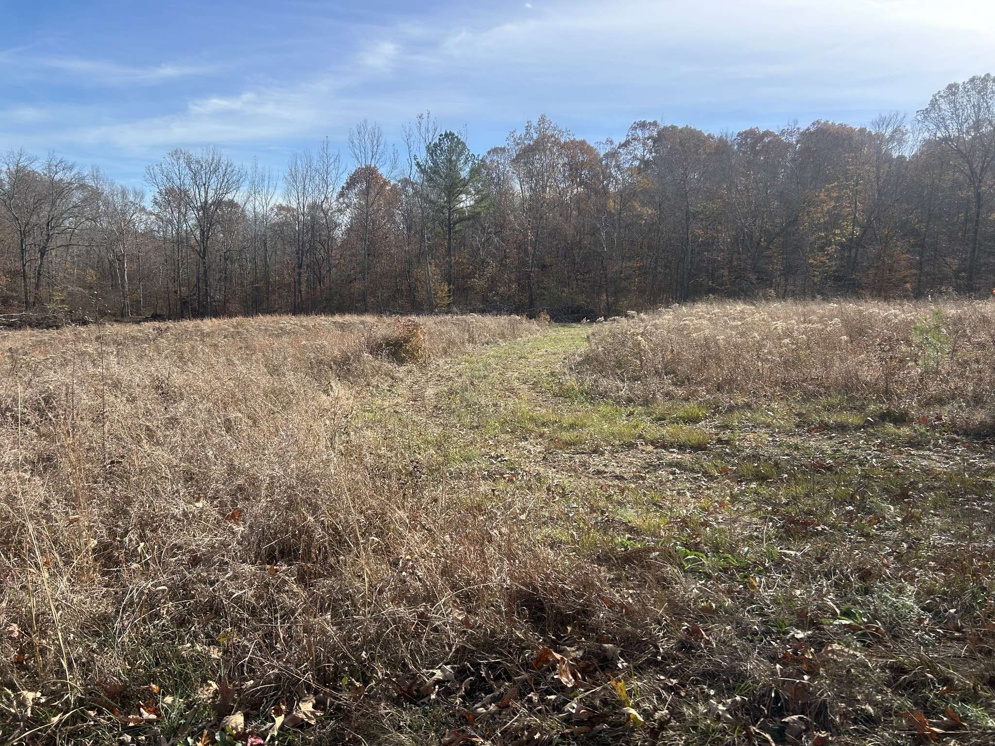 Big Sandy, TN 38221,0 Off Sulphur Creek Rd