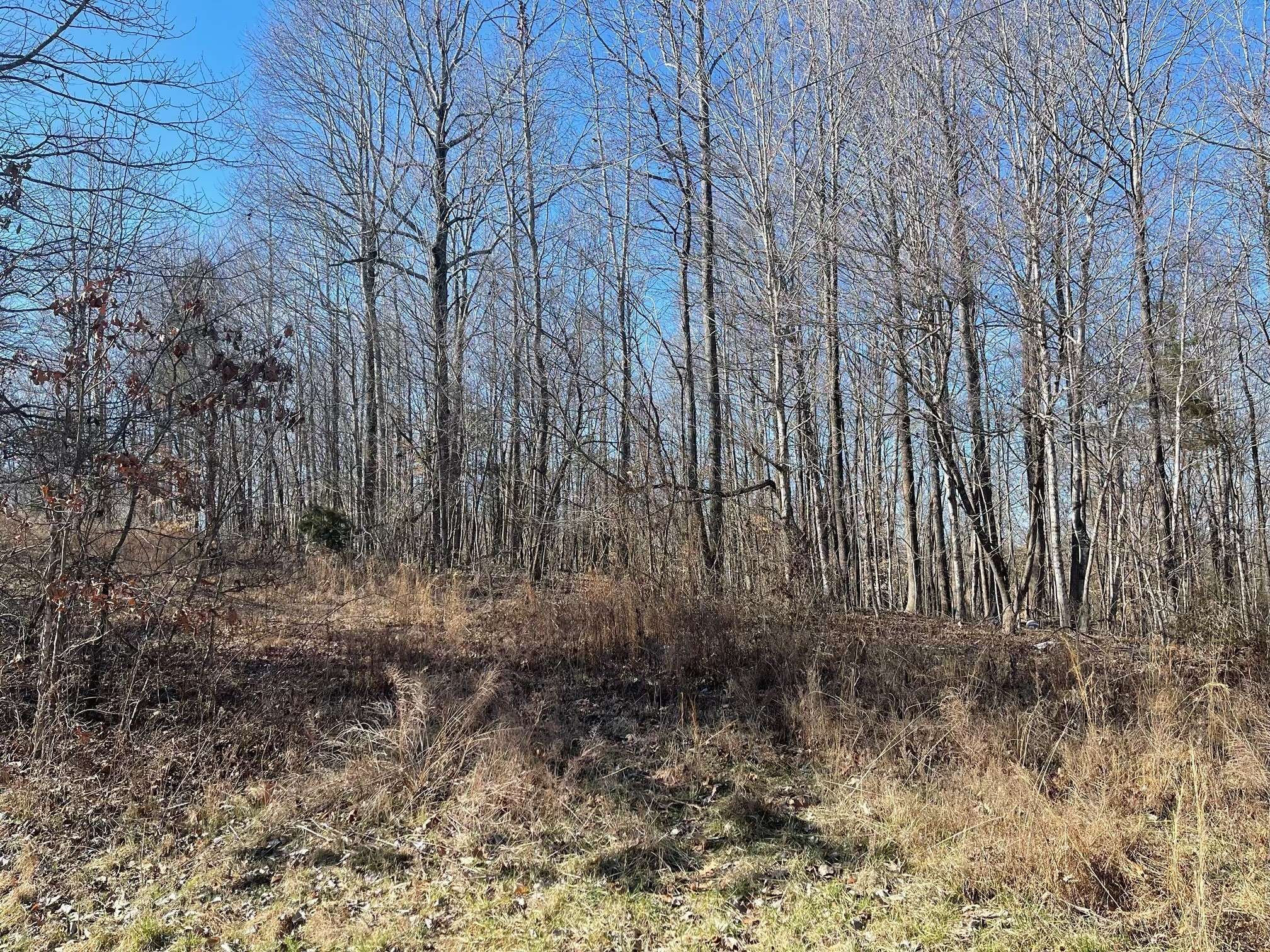 Woodlawn, TN 37191,0 Chandler Rd