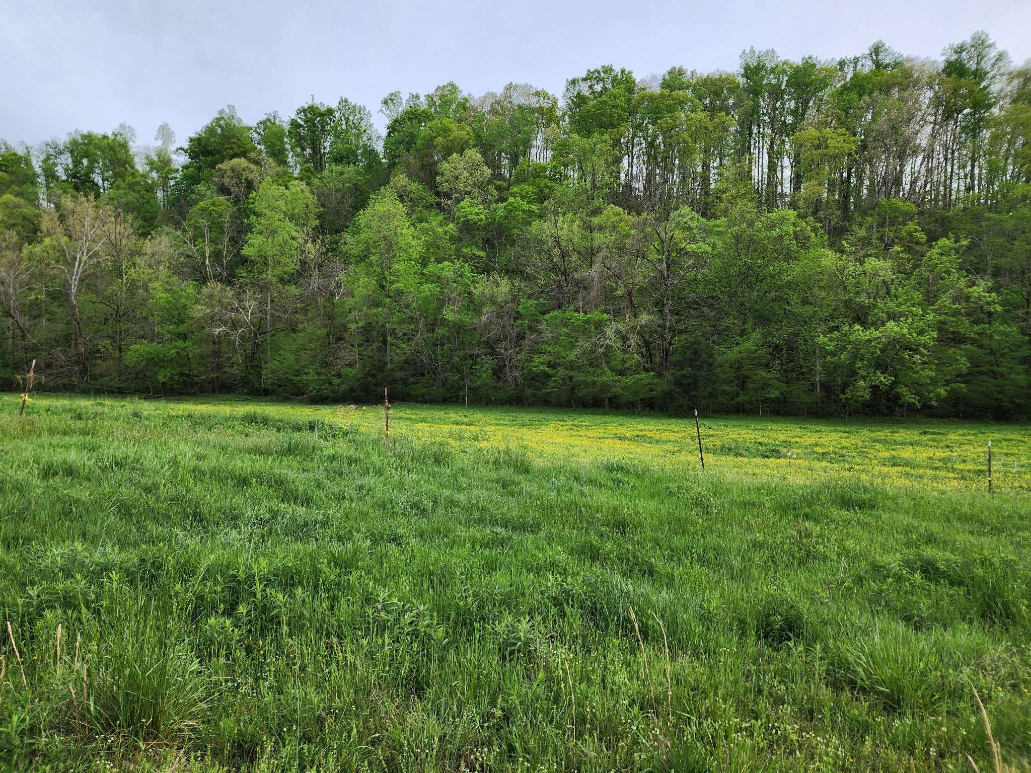 Lawrenceburg, TN 38464,0 Blowing Springs Rd