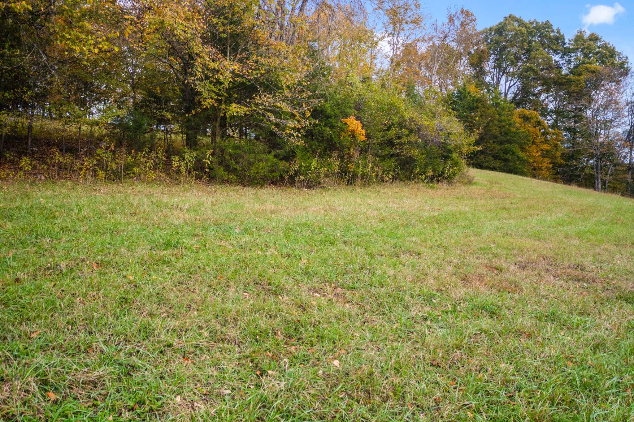 Palmyra, TN 37142,0 Budds Creek