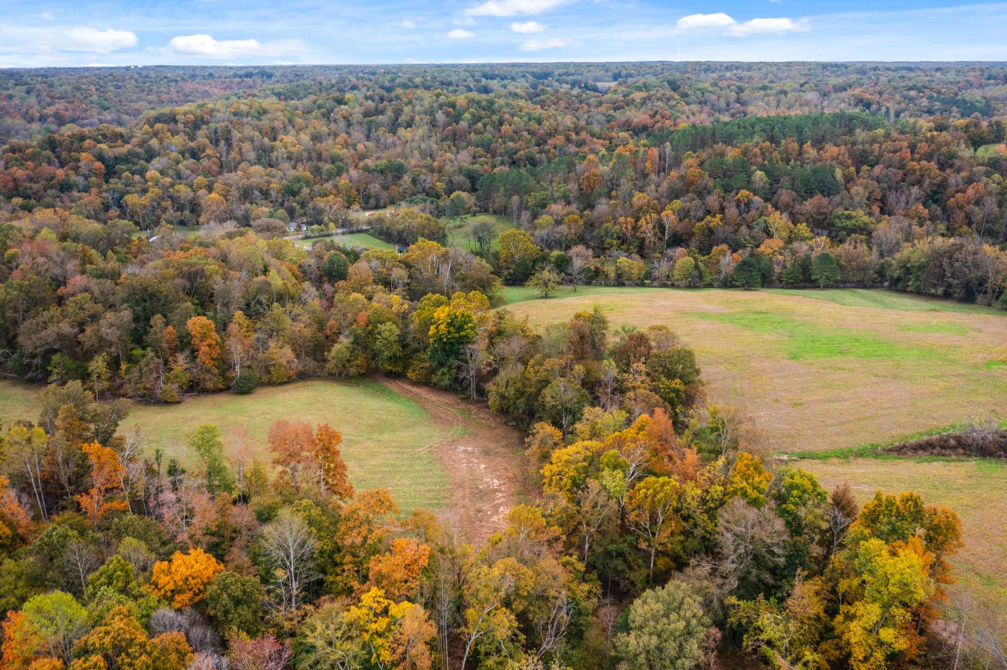 Palmyra, TN 37142,0 Buck Smith