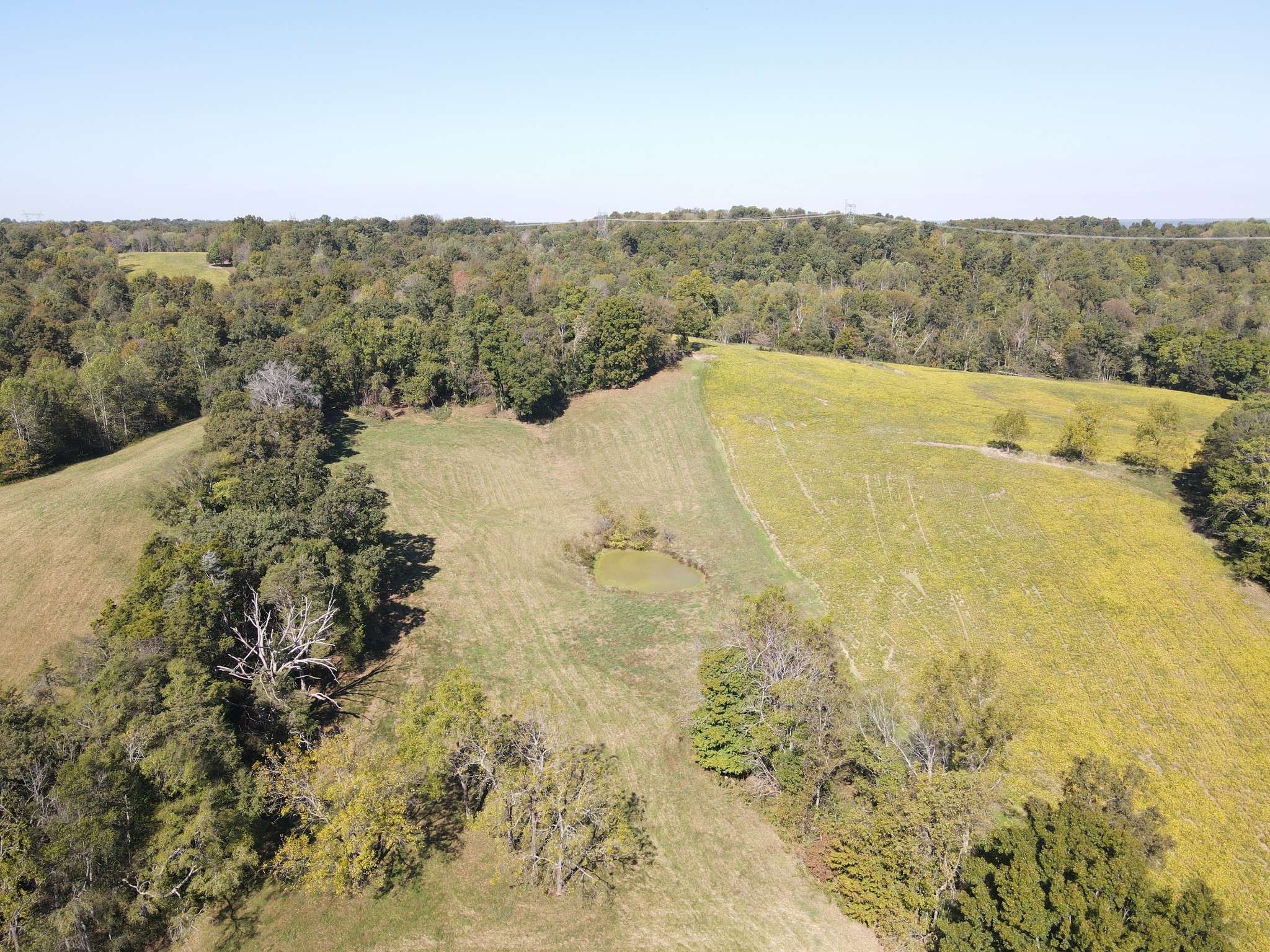 Palmyra, TN 37142,0 Buck Smith