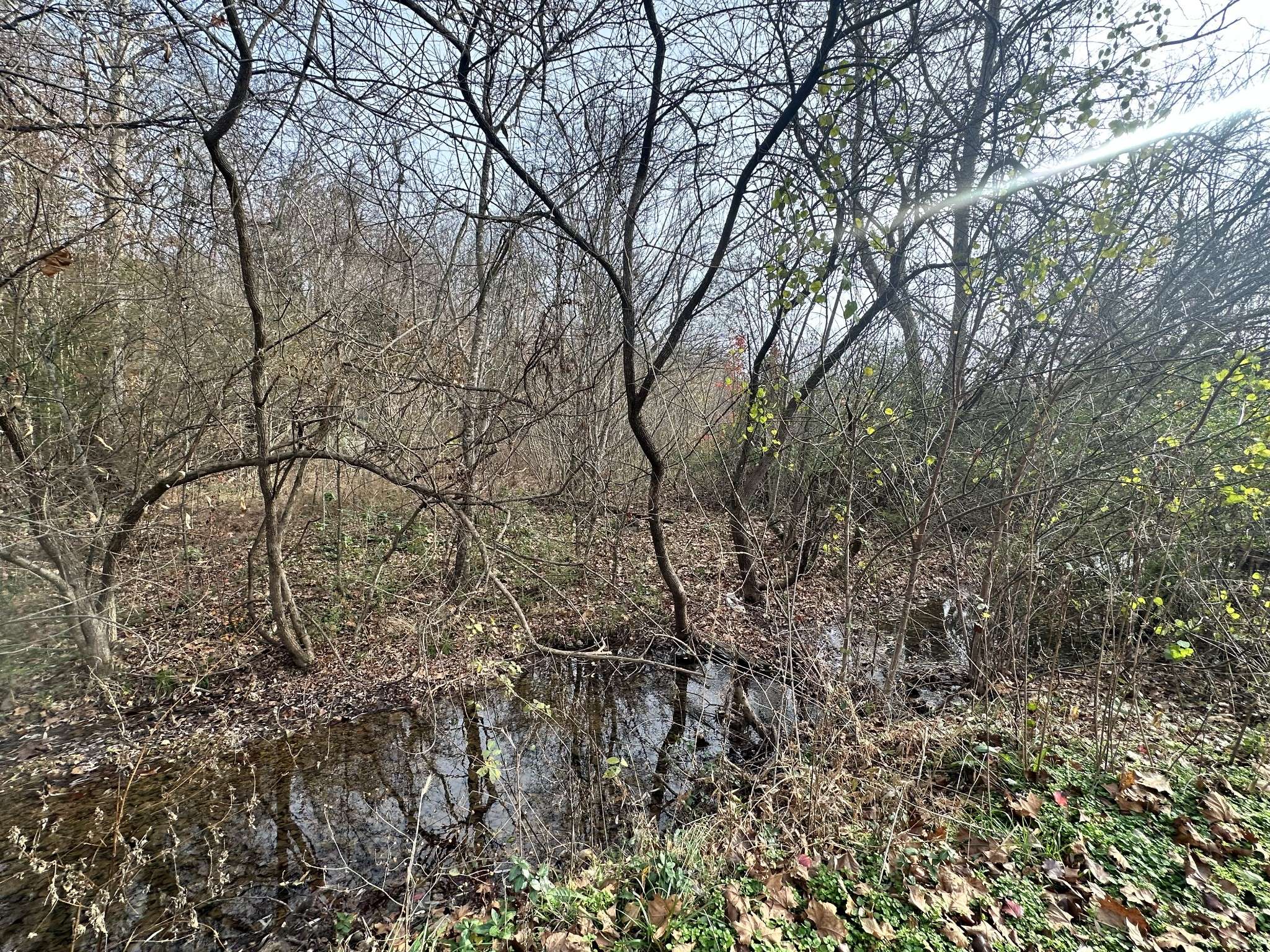 Waverly, TN 37185,210 Trotter Rd