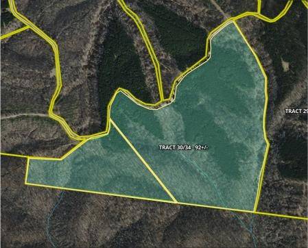 Stewart, TN 37175,0 White Oak Rd