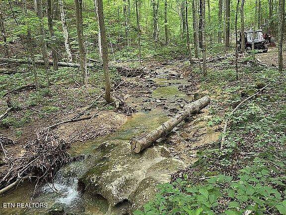 Spencer, TN 38585,235 Sparta St