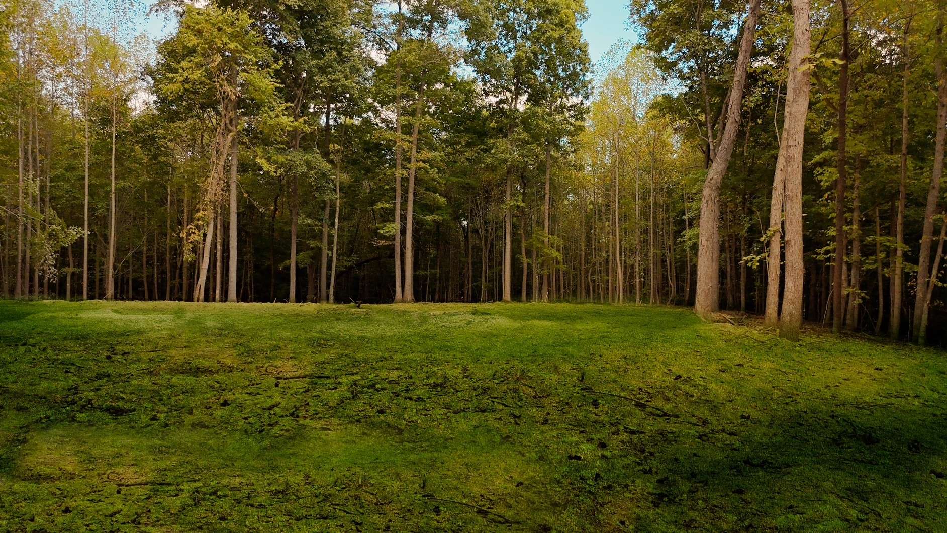 White House, TN 37188,7960 Bill Moss Rd