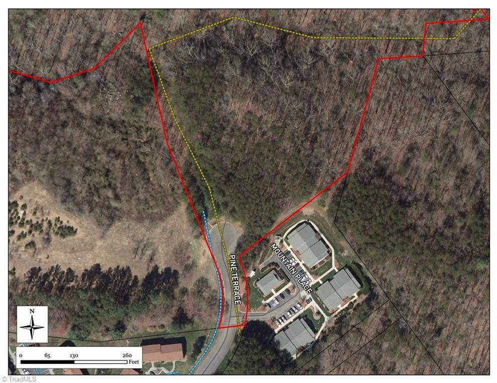 Mount Airy, NC 27030,20.2 Ac Pine Terrace DR