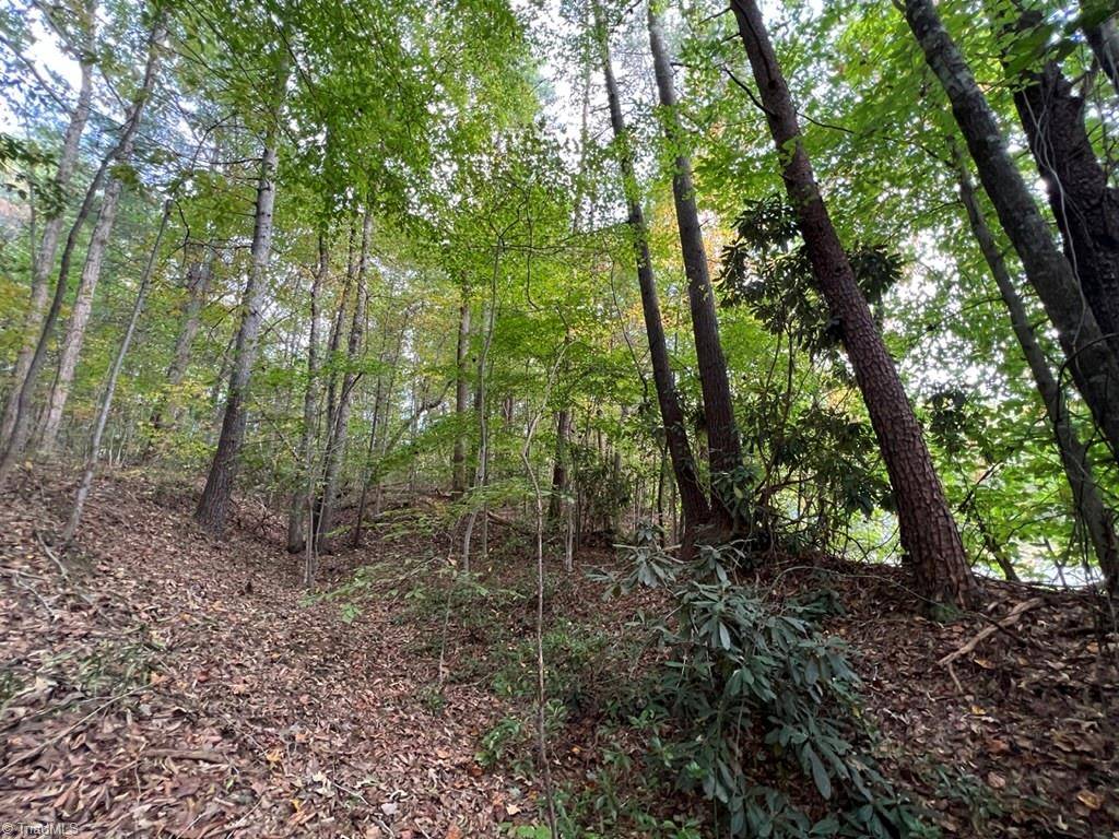 Mount Airy, NC 27030,00 Pipers Gap RD #Lot 17 plus 4 acres