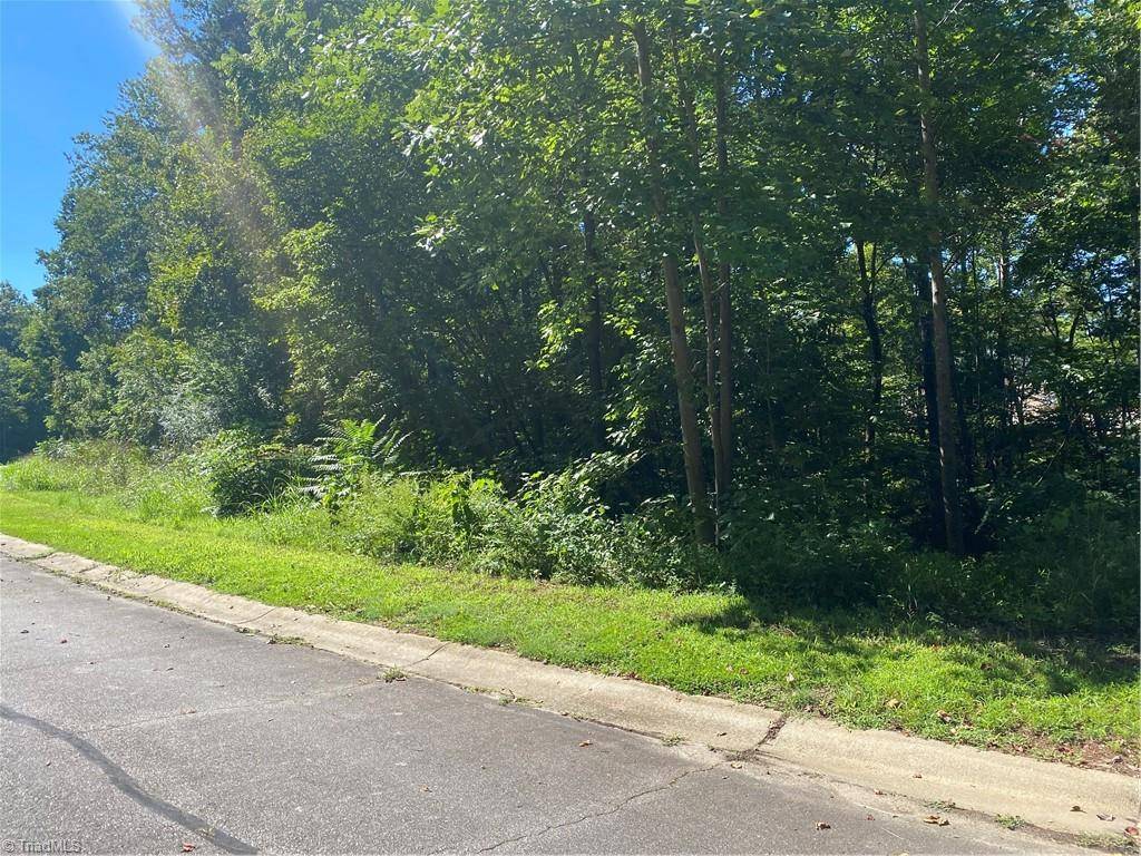 Mocksville, NC 27028,LOT 26 Rhode Island CT