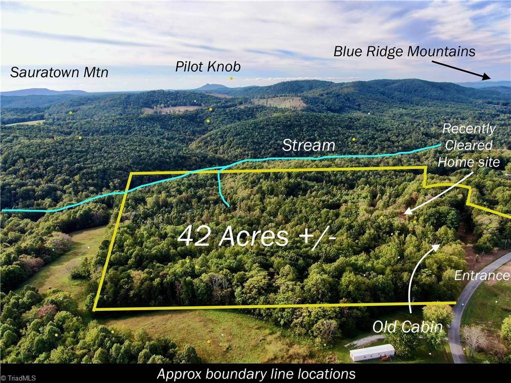 Claudville, VA 24076,00 Pedigo Ridge RD #41.61 Acres